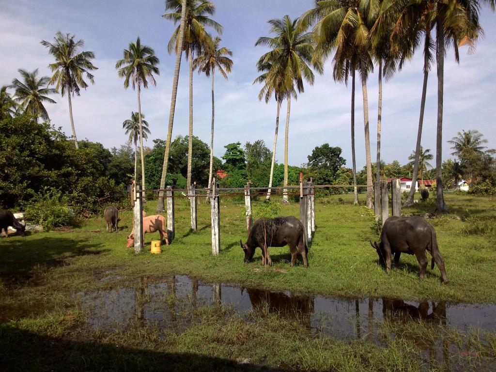The Village Langkawi Pantai Cenang  Exterior foto