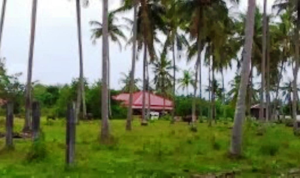 The Village Langkawi Pantai Cenang  Exterior foto